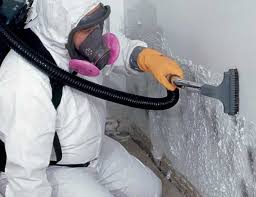 Best Emergency Mold Remediation  in Fox Lake, WI